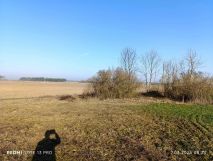 Działka rolno-budowlana Jarczewo. Zdjęcie 3