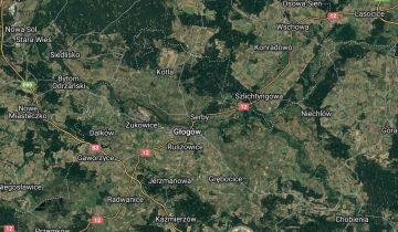 Pokój Serby