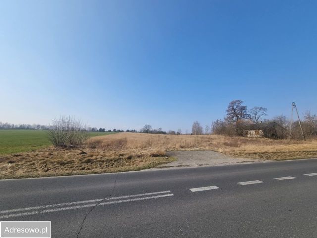 Działka inwestycyjna Promna-Kolonia. Zdjęcie 1