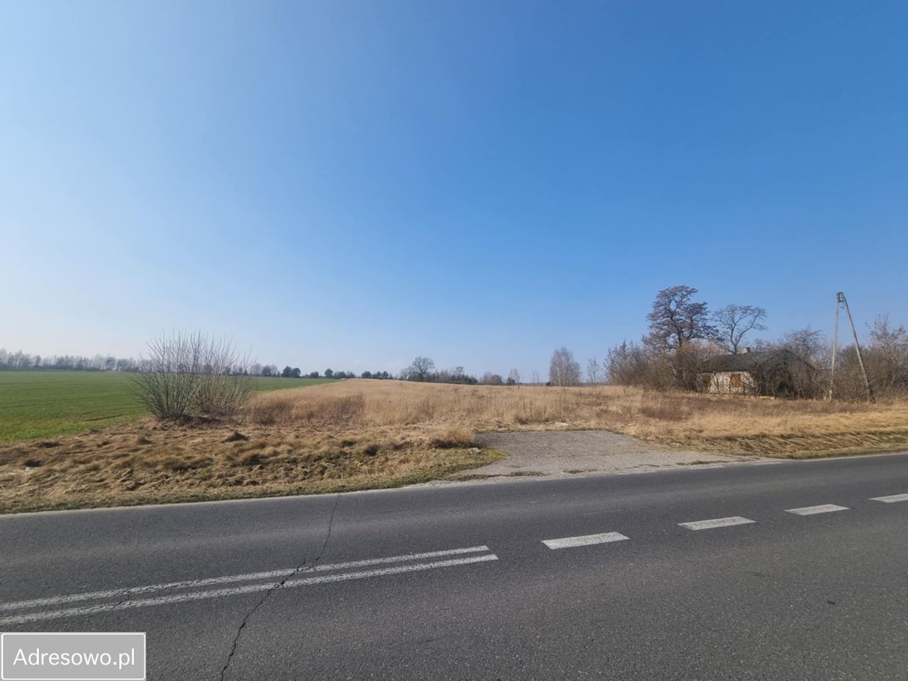 Działka inwestycyjna Promna-Kolonia. Zdjęcie 1