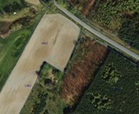 Działka budowlana Drewno. Zdjęcie 2