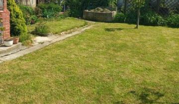 Działka rod Polkowice, ul. Działkowa