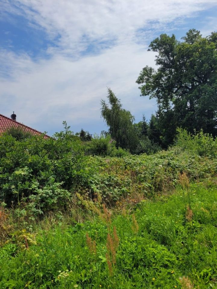 Działka rolno-budowlana Bieniów. Zdjęcie 3