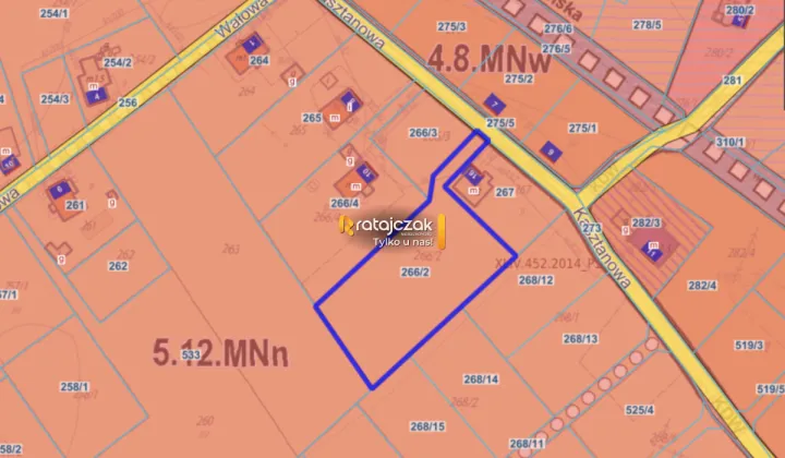 Działka inwestycyjna Drewnica, ul. Kasztanowa
