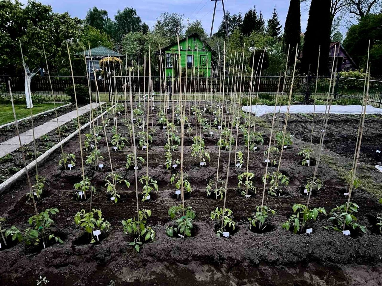 Działka rod Białystok Wygoda, ul. Krzysztofa Pendereckiego. Zdjęcie 12