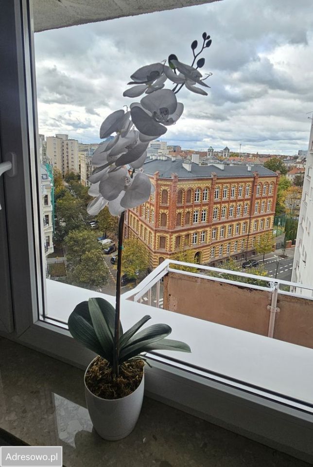 Mieszkanie 3-pokojowe Poznań Stare Miasto, ul. Feliksa Nowowiejskiego. Zdjęcie 7