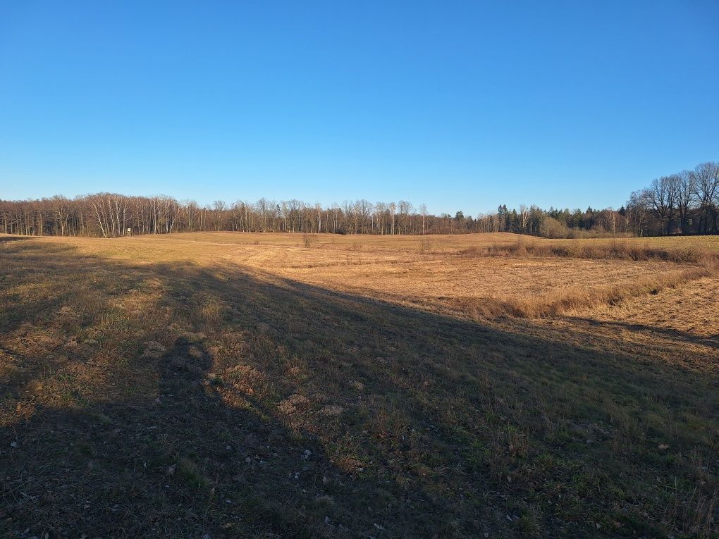 Działka rolna Kruszewiec. Zdjęcie 3