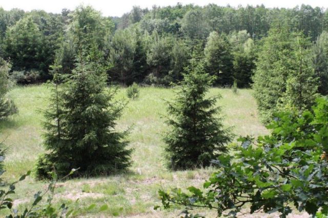 Działka budowlana Obłęże. Zdjęcie 1