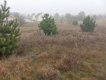 Działka inwestycyjna Słubice, os. Zielone Wzgórza. Zdjęcie 3