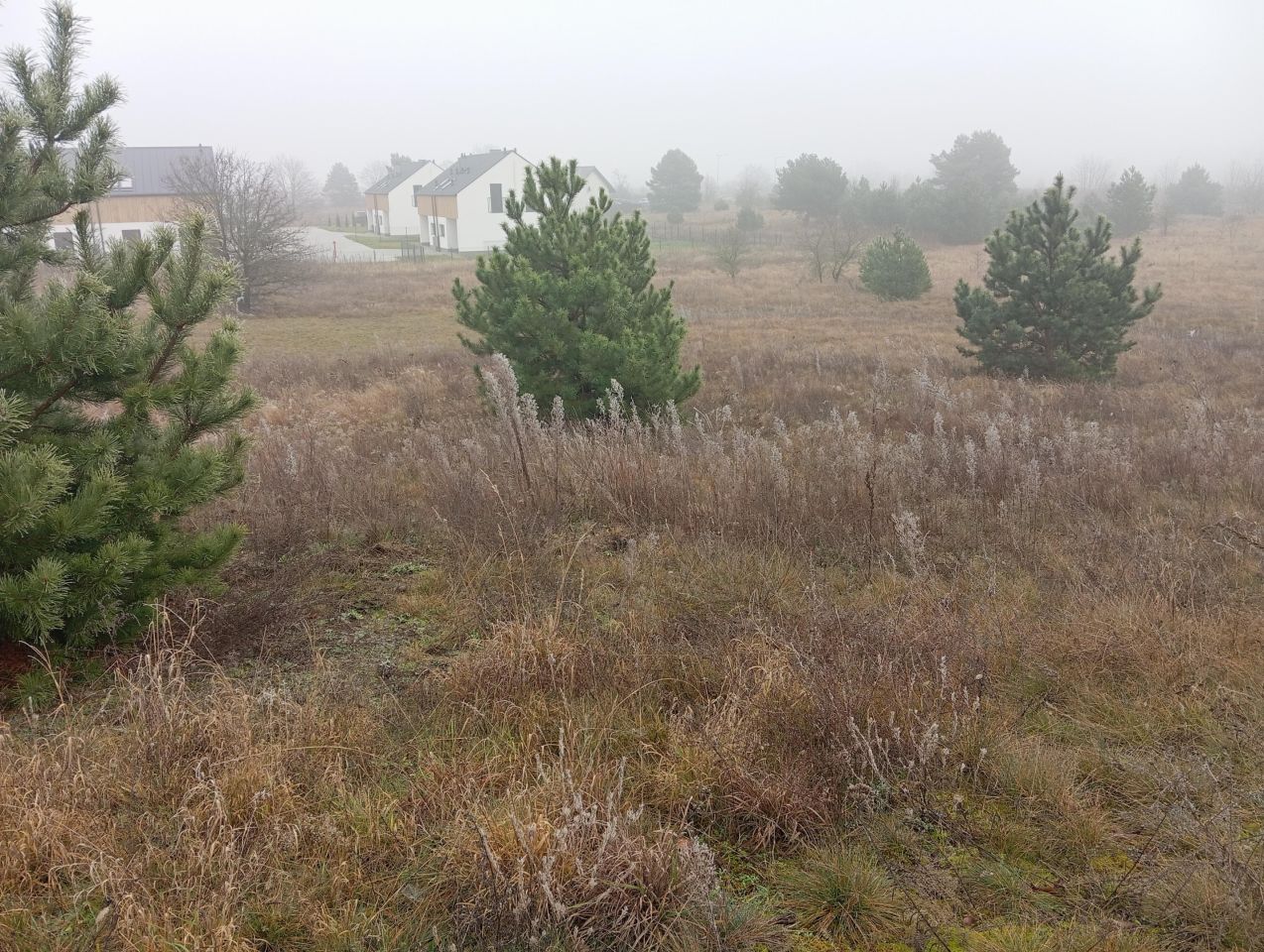 Działka inwestycyjna Słubice, os. Zielone Wzgórza. Zdjęcie 4