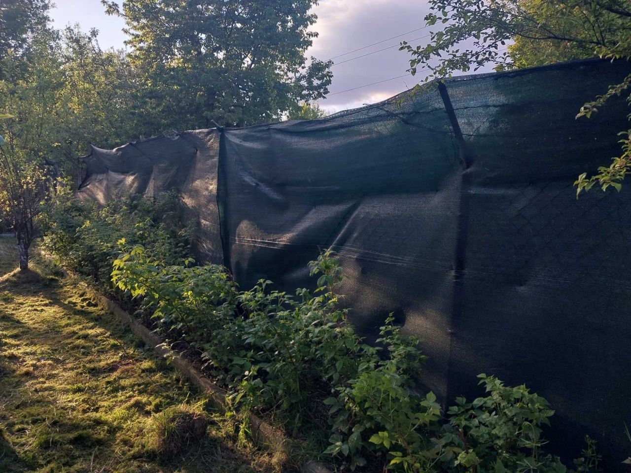 Działka rod Kielce, ul. Gustawa Morcinka. Zdjęcie 8