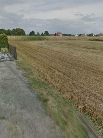 Działka rolno-budowlana Budziska, ul. Leśna. Zdjęcie 1