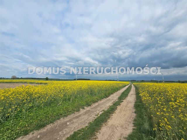 Działka rolna Stefanów. Zdjęcie 7