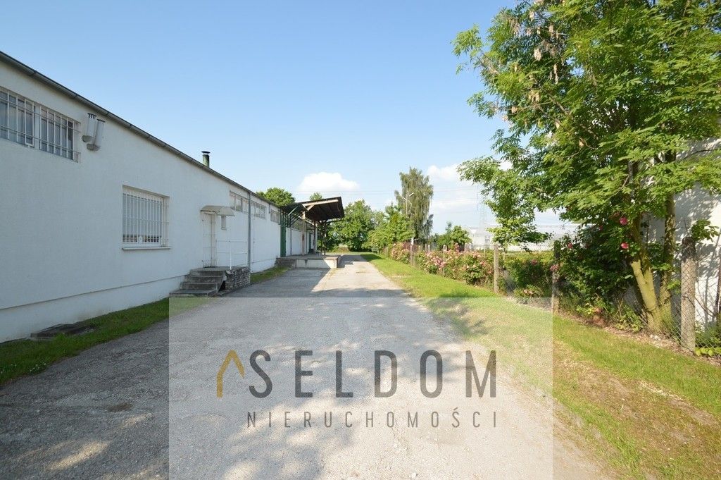 Lokal Prószków. Zdjęcie 19