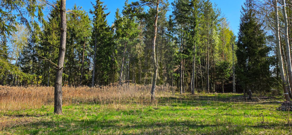 Działka budowlana Janinów. Zdjęcie 8