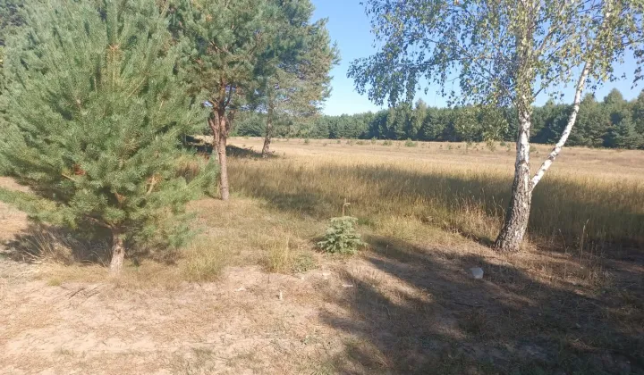 Działka rolna Koziki