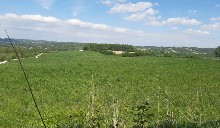 Działka inwestycyjna Nowy Borek