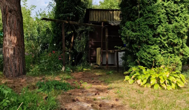 Działka rod Warszawa Włochy, ul. Paluch