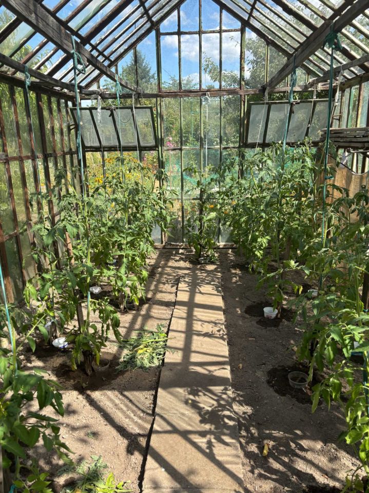 Działka rod Wrocław Brochów. Zdjęcie 4