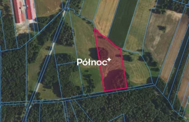 Działka rolna Rynki. Zdjęcie 1