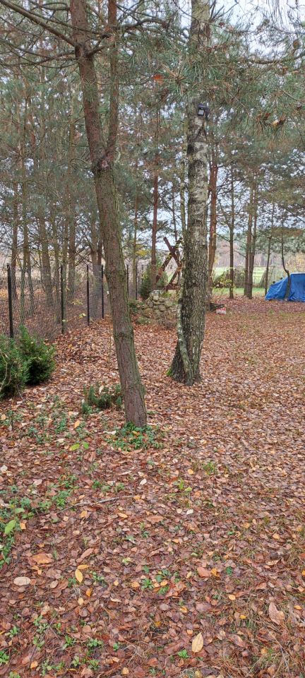 Działka rolna Osada-Wola. Zdjęcie 3