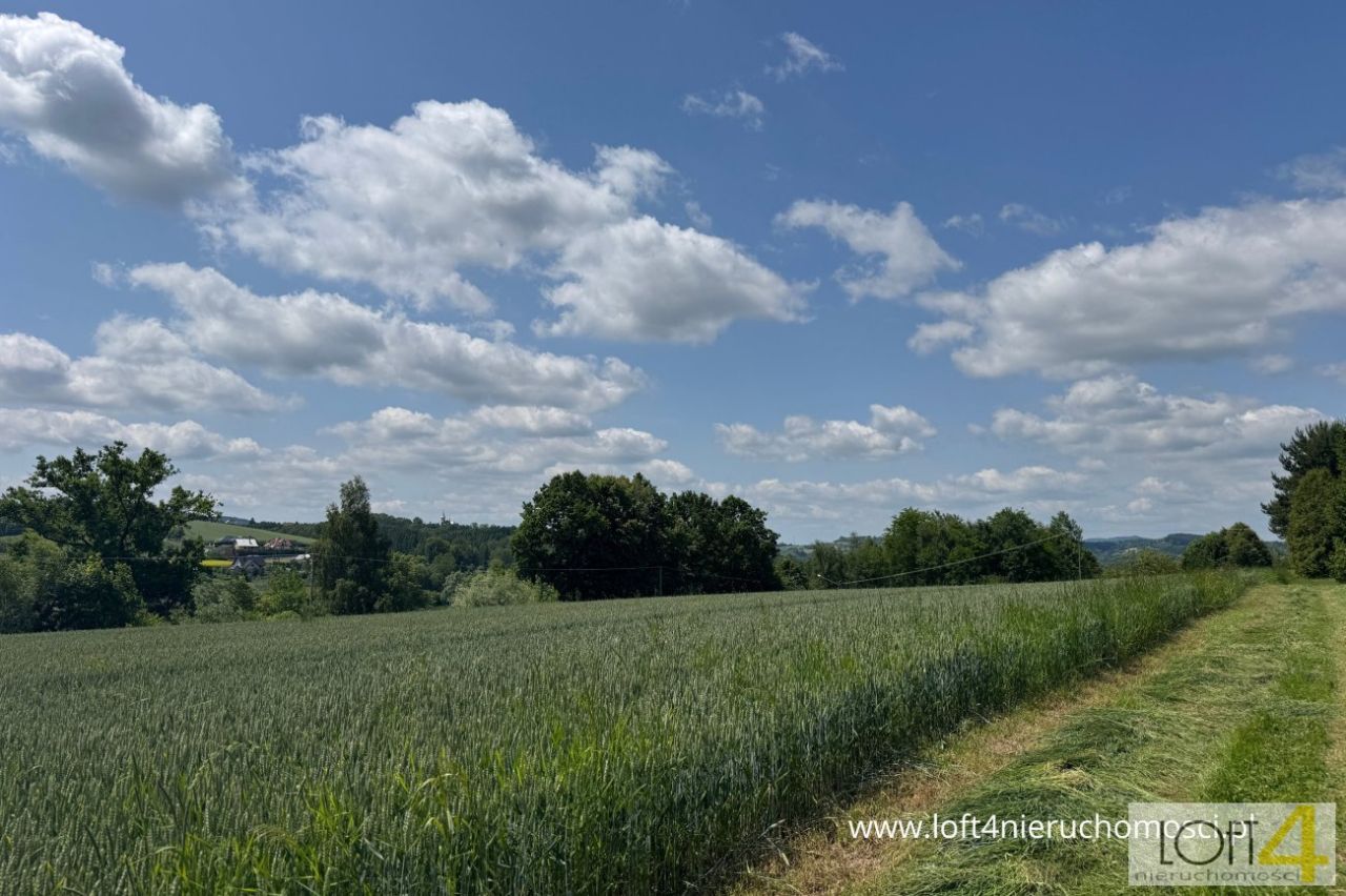 Działka budowlana Tuchów. Zdjęcie 5