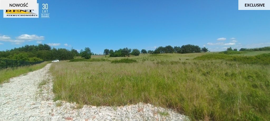 Działka rekreacyjna Płocin. Zdjęcie 20