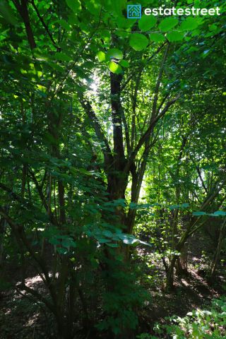 Działka budowlana Nielepice. Zdjęcie 21