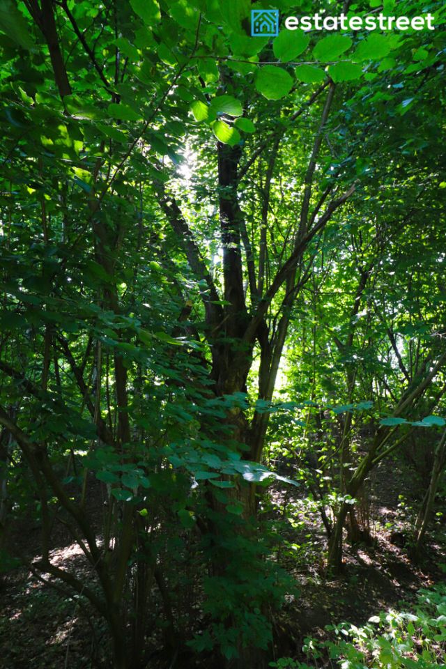 Działka budowlana Nielepice. Zdjęcie 21