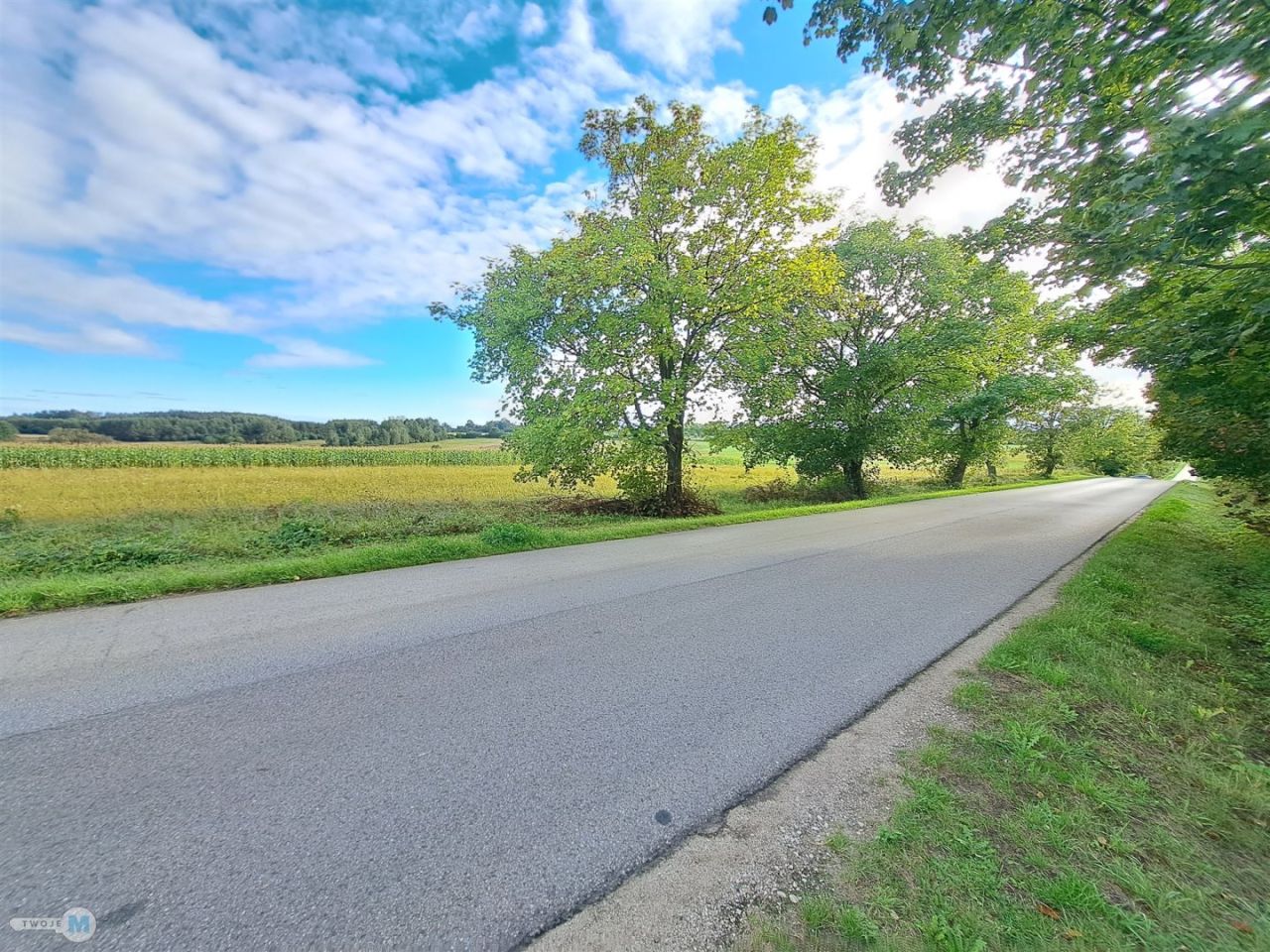 Działka Drugnia. Zdjęcie 5