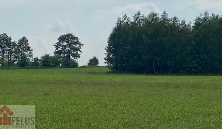 Działka rolna Czułówek