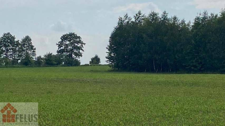 Działka rolna Czułówek