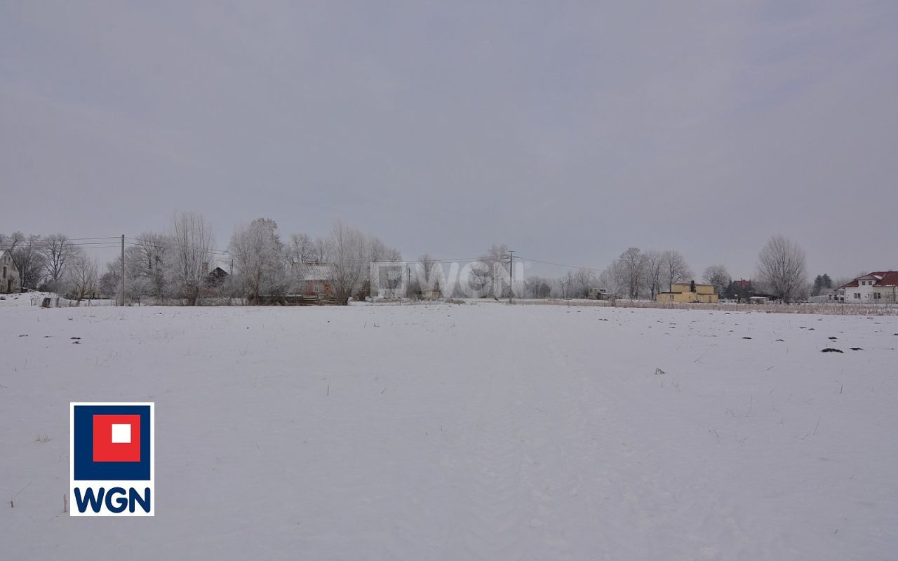 Działka rolna Markusy. Zdjęcie 15