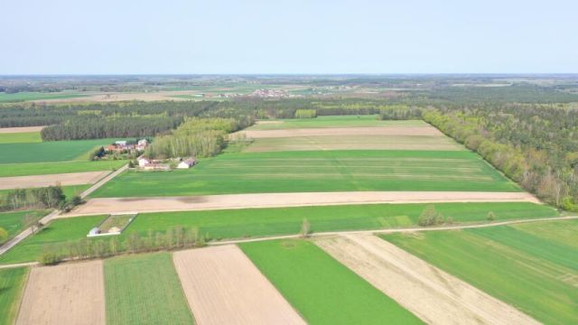 Działka budowlana Szczepankowo. Zdjęcie 11