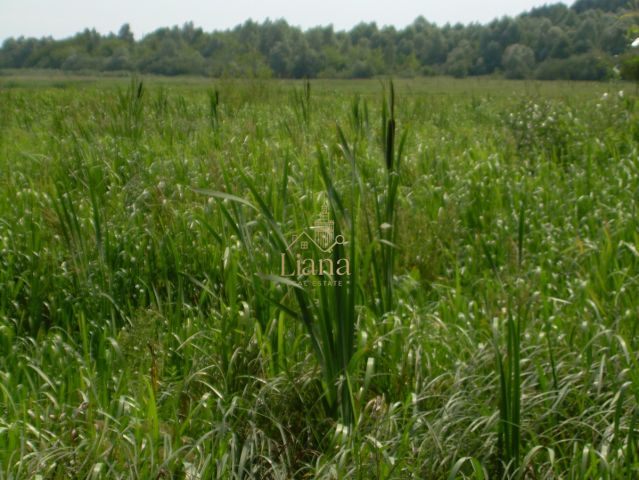 Działka budowlana Kobyla. Zdjęcie 13