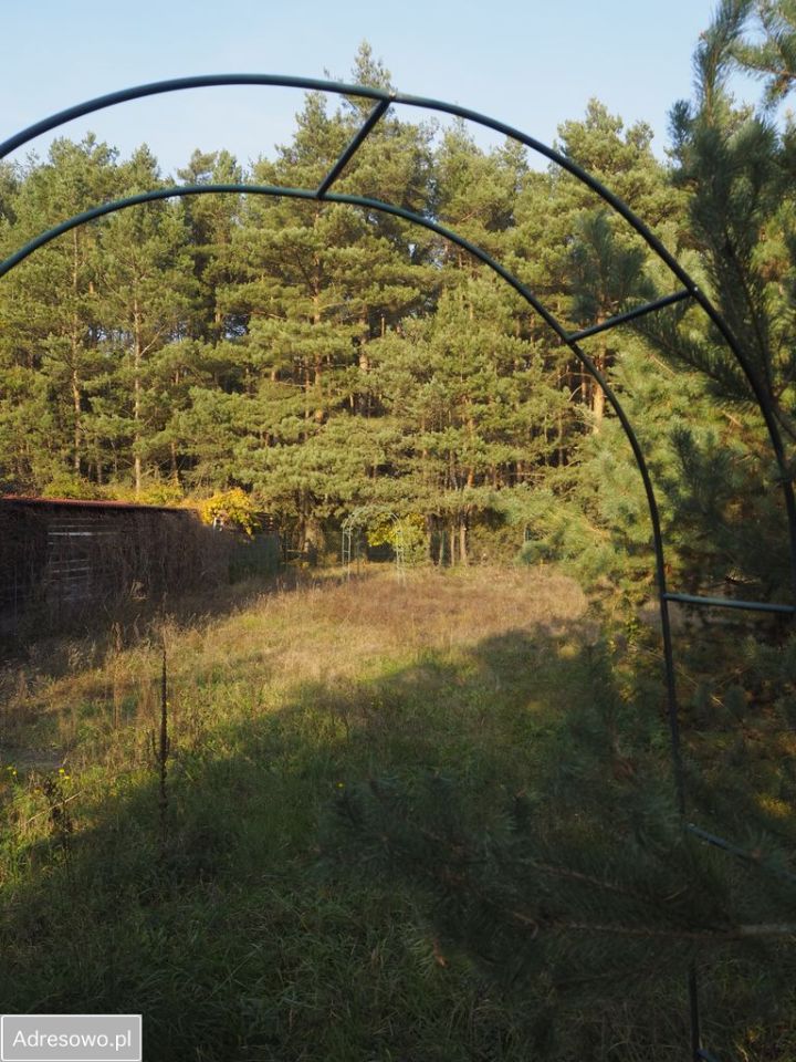 Działka budowlana Dzikowo Chrapy, ul. Tulipanowa. Zdjęcie 9