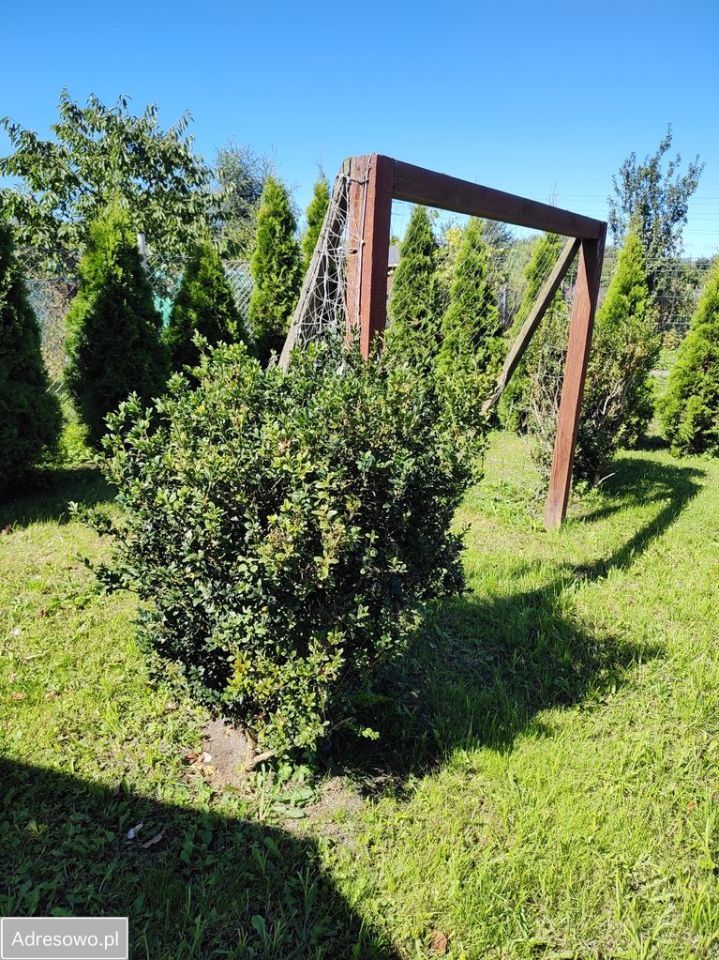 Działka rod Gdańsk Nowy Port, ul. Wyzwolenia. Zdjęcie 4