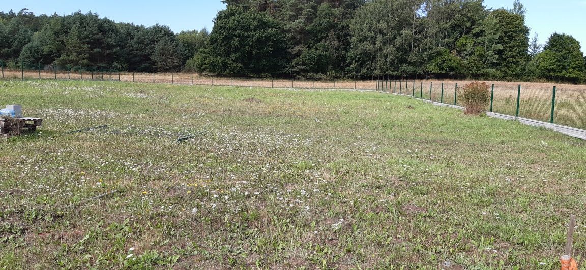 Działka budowlana Trzemeszno Lubuskie, ul. Sosnowa