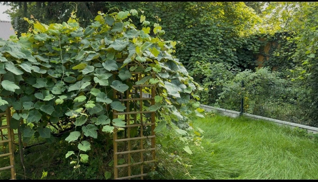 Działka rod Ząbki. Zdjęcie 5