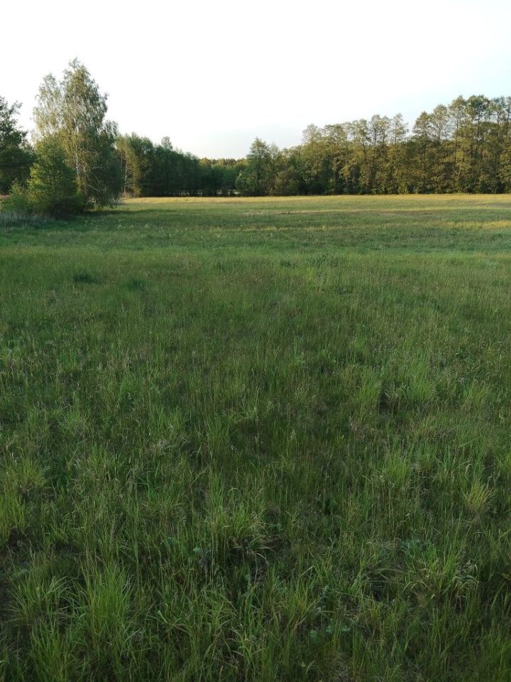 Działka budowlana Kawęczyn. Zdjęcie 1