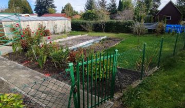 Działka rod Piotrków Trybunalski, ul. Brzeźnicka