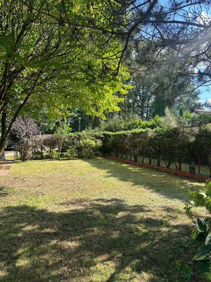 Działka rod Kanie. Zdjęcie 8