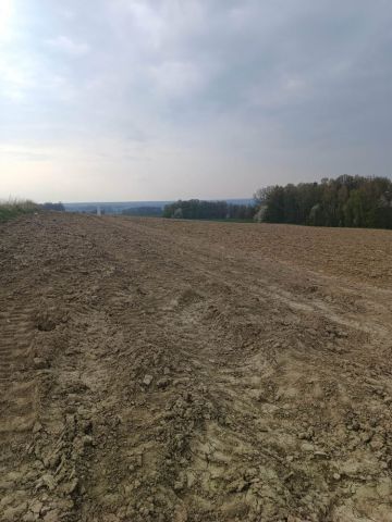 Działka budowlana Międzyrzecze Dolne. Zdjęcie 1