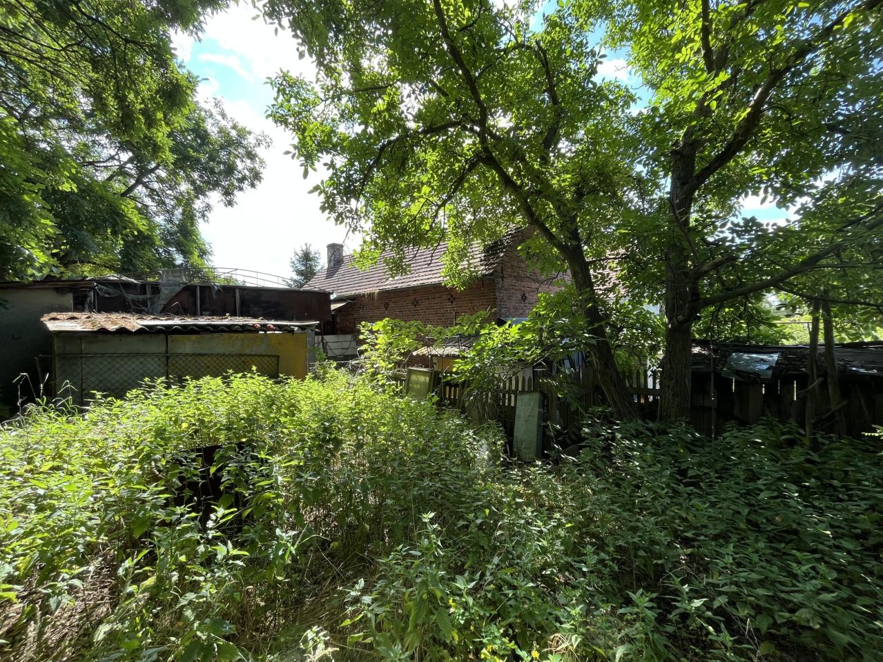 gospodarstwo, 5 pokoi Krosno Odrzańskie, ul. Wiejska. Zdjęcie 16