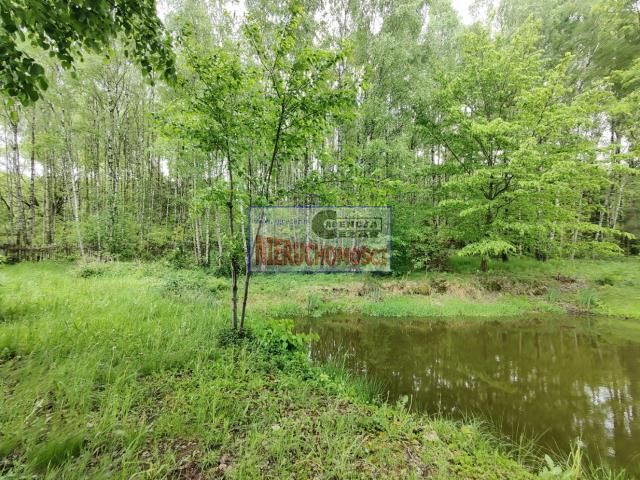 siedlisko, 2 pokoje Zimnowoda. Zdjęcie 14
