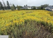 Działka budowlana Granica, ul. Szczęśliwa