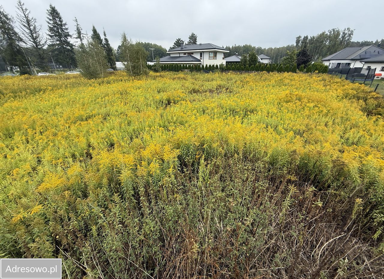 Działka budowlana Granica, ul. Szczęśliwa