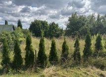 Działka rod Osiek, ul. św. Katarzyny. Zdjęcie 2