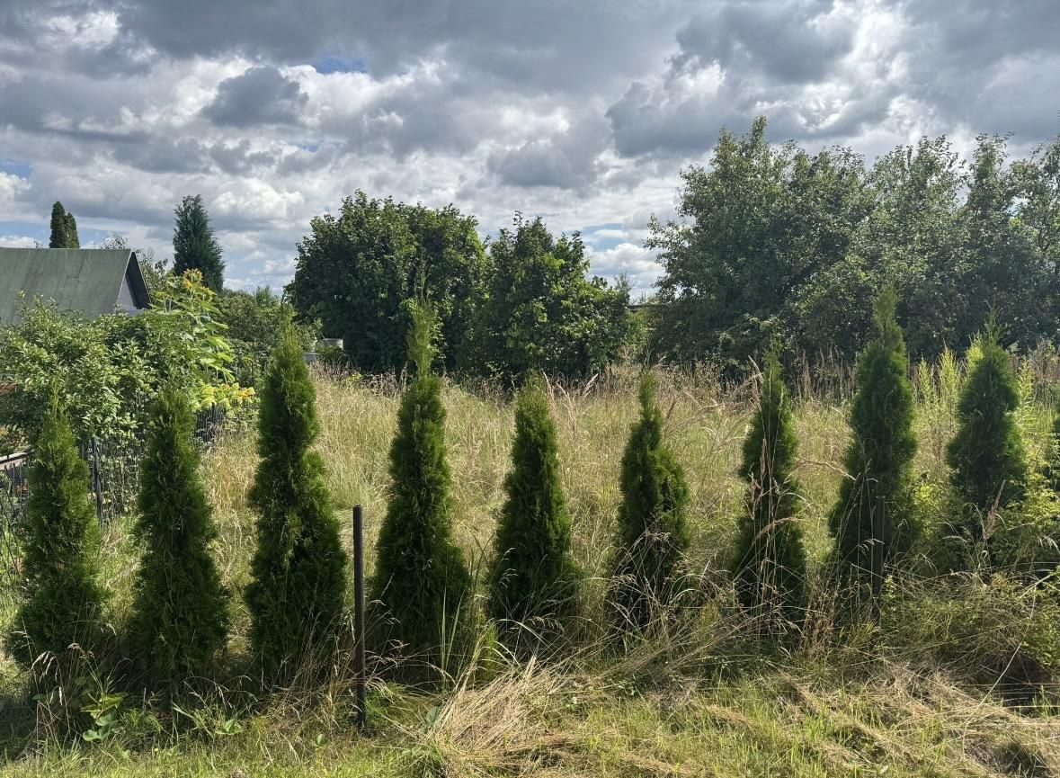 Działka rod Osiek, ul. św. Katarzyny. Zdjęcie 3