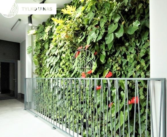 Mieszkanie 2-pokojowe Bydgoszcz, ul. Ignacego Paderewskiego. Zdjęcie 11